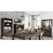 Vitrína, jaseň tmavý, INFINITY I-04