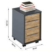 Kontajner, grafit/dub artisan, RIOMA NEW TYP 14