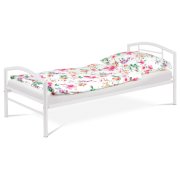 BED-1900 WT