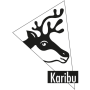 vyvýšený záhon KARIBU HOCHBEET 191 (64561) natur LG1987