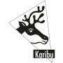 vyvýšený záhon KARIBU HOCHBEET 281 (83326) natur LG1996
