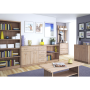 Botník 2K, dub sonoma, TOPTY TYP 25