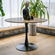 Jedálenský stôl, okrúhly, dub/čierna, priemer 110 cm, REVENTON NEW