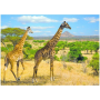 Puzzle Dino Dve Žirafy 1000