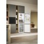 Candy ECN4CQTEW186
