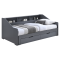 Rozkladacia posteľ, sivá, MONETA
