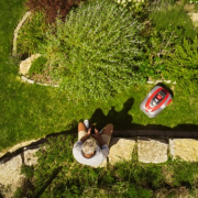 Robotická kosačka solo® by AL-KO Robolinho® 1423 W