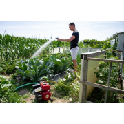 Benzínové motorové čerpadlo  AL-KO BMP 14001