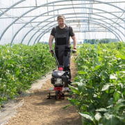 Kultivátor benzínový MH 360