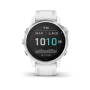 GARMIN Fénix 6S Silver/White band