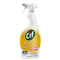 Cif KUCHYŇA Ultrafast čistič s rozprašovačom 750ml