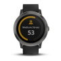GARMIN Smart hodinky VÍVOACTIVE 3 Black/Slate