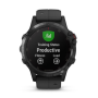 GARMIN Fénix 5 Plus Sapphire Black/Black band