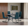 DCL-401 BLUE2