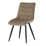 CT-384 CAP4