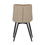 CT-384 CAP4