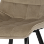 CT-384 CAP4