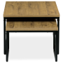 CT-619 OAK