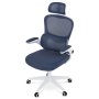 KA-Y337 BLUE