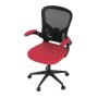 KA-V317 RED